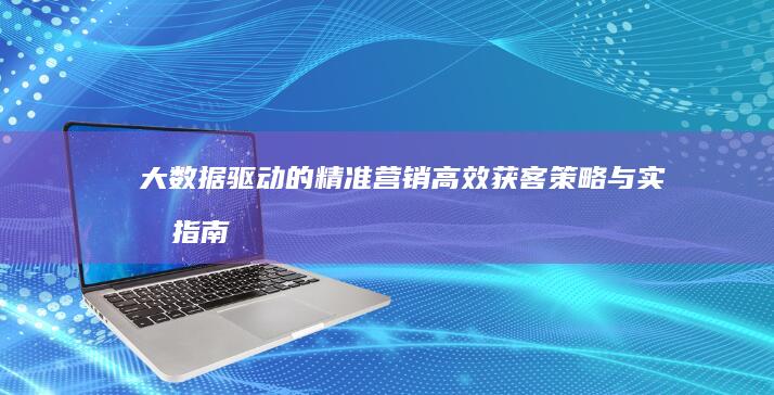 大数据驱动的精准营销：高效获客策略与实战指南